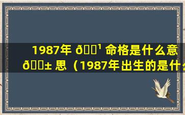 1987年 🌹 命格是什么意 🐱 思（1987年出生的是什么命格）
